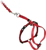 PetSafe Easy Walk Cat Harness with Bungee Lead, Comfortable Control with Adjustable Fit, Includes Stretchy Bungee Section, Small-Red
