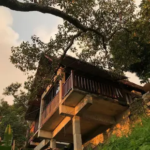 寶勝榴槤農莊Bao Sheng Durian Farm