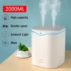 2L Air Humidifier Double Spray Essential Oil Aromatherapy Diffuser Cool Mist
