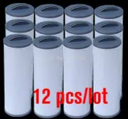 12pcs micron Arctic Spa Filter for Arctic Spas 2009 ,800 sqf Active Skim Micro