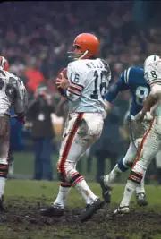 Bill Nelsen Of The Cleveland Browns Drops Back To Pass 1971 NFL OLD PHOTO 3