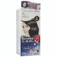 在飛比找ETMall東森購物網優惠-日本dariya沙龍級ONE PUSH女士用白髮染髮乳(6黑