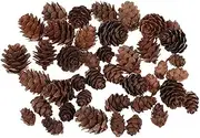ａ aternee 50 Pieces Mixed Size Mini Rustic Dried Cones in Bulk for Christmas