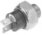 Borg Warner S393 Switch