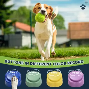 新款迷你錄音按鈕 寵物互動玩具 4個裝 內置鈕扣電池 帶墊子