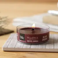 在飛比找蝦皮購物優惠-【蠟燭森林】Woodwick Candle〈現貨〉木芯竹蕊 