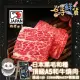 【一手鮮貨】日本鹿兒島A5和牛燒肉片(9盒組/單盒100g)