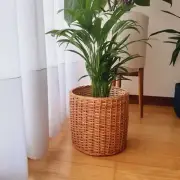 Wicker Plant Basket