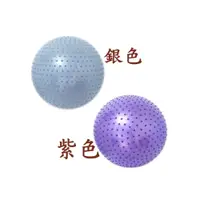 在飛比找i郵購優惠-兒童統合訓練統,感訓練觸覺球.團體遊戲 75cm 顆粒按摩球