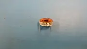 (2 PCS) 2100HT-220H JW MILLER Ind High Current Toroid 22uH 15% 1KHz 6.7A RDL