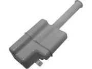 DIY Solutions 17DS86X Expansion Tank Fits 2002-2005 Hyundai XG350 (for: Hyundai)