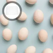 Egg Brooder Machine Tray Plastic Egg Turner Eggs Incubator Chicken