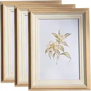 Haobase 3 Pcs 6x8 inch Deep Photo Frames With Vertical/Horizontal Angle Bracket, Picture Frames for Home Office Decoration