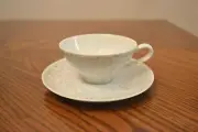 Mid-Century Modern ROSENTHAL CONTINENTAL Raymond Loewy GRAY FERN Teacup & Saucer