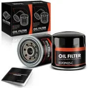 2x Engine Oil Filter for Jeep Cherokee Cherokee Wagoneer Olds Cutlass Pontiac (for: Jeep)