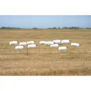 Avery GHG Pro-Grade Windsock Decoys - Snow Goose Without Heads