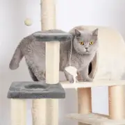 Cat Climbing Rack Toys Comfortable Kitten Scratcher Trees & Towers