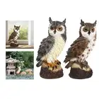 2x Decoy Bird Scarecrow Garden Statue Ornament