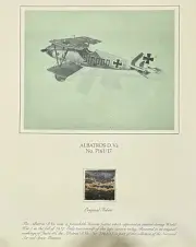 Vintage RARE Smithsonian Museum Albatros D. Va. No 7161/17 Orig Fabric Art NOS