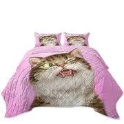 Cats Funny Faces Drawings Adorable Tabby Kitty Coverlet