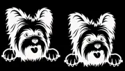 Yorkshire Terrier Two White Vinyl Decals Car Truck Window Laptop Tablet Notebook