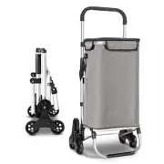 Gominimo Shopping Trolley Cart Foldable Grocery Basket Storage Bag Wheel Grey