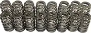 EYSENC LS Valve Springs PAC1218 Racing Valve Springs Compatible with GM LS Engine 4.8 5.3 5.7 6.0 6.2 (.600'' Lift Rated)