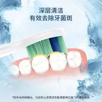 在飛比找Yahoo!奇摩拍賣優惠-95折免運上新牙刷頭 Philips/利浦牙齦護理電動牙刷頭