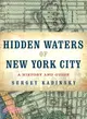 Hidden Waters of New York City ─ A History and Guide to 101 Forgotten Lakes, Ponds, Creeks, and Streams in the Five Boroughs