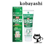 【日本直郵】小林製藥 KOBAYASHI 藥用牙膏 110G