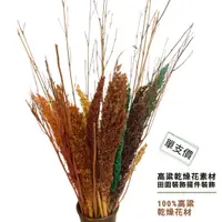 在飛比找蝦皮購物優惠-⭐永生花⭐ 手工花 乾燥花 天然素材 裝飾品 乾燥高粱 紅高