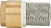 1/2" 3/4" 1" 1-1/4" 1-1/2" 2" BSP Female Thread Brass Non Return Check Valve with Steel Strainer Filter(1")