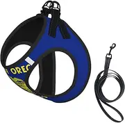 Oregon State Flag print Dog Harness and Leash Set, Reflective Adjustable Puppy Vest for Small Medium Large Dogs, Cats