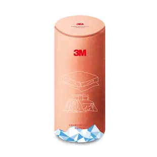 3M 全面抗螨涼感系列-防蹣床包-雙人