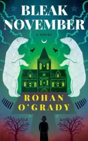 Bleak November by Rohan O'Grady Paperback Book