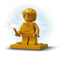 在飛比找蝦皮購物優惠-LEGO 樂高 哈利波特  哈利波特 harry potte