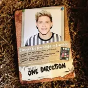 One Direction NIALL Limited Edition MAKE-UP Kit Eye Shadow LIP GLOSS Nail Polish