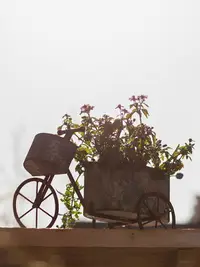 在飛比找樂天市場購物網優惠-掬涵 自行車鐵藝花盆花器 復古別墅庭院插花多肉盆花車擺件裝飾