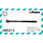 Payen Cylinder Head Bolt Set - HBS313