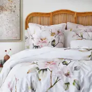 Elle European Pillow Case Size 65X65cm by MyHouse