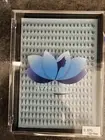 Xl 0.07C Volume Pre-made Pointy Eyelash Extensions. 10D-9mm 16 rows of 20 prema