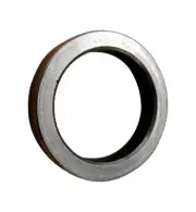 Lee-Lite Z9DT 1 5/16 1 3/4 5/16 Valve seat Retainer Ring