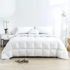 Goose Down Duvet Lightweight Down Comforter Summer Double Blanket Air Condition