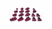 Dress Up Bolts Stage 2 Titanium Hardware Engine Kit - RB25 Engine