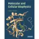 Molecular and Cellular Biophysics