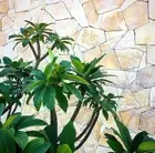 Stone Cladding Factory Seconds