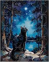 Animals Paint by Numbers Kit for Adults - DIY Black Cat Staring at Stars by the Lake Painting on Canvas 16x20 Inches, Acrylic Paint Set, Suitable for Beginners,Night Art for Decoration/Gifts