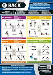 Back Exercise | Full Workout Improves Strength Training | Laminated Gym and Home Poster | Includes Online Video Training Support | Size - 594mm x 420mm (A2) | Improves Personal Fitness