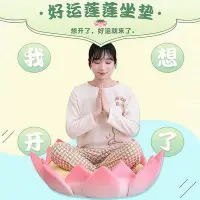 在飛比找Yahoo!奇摩拍賣優惠-【現貨】創意蓮花寶座好運蓮蓮坐墊柔軟毛絨趴枕居家靠枕午休枕榻