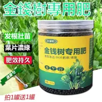 在飛比找蝦皮購物優惠-金錢樹 專用肥料 金錢樹 盆栽 植物 室內 花卉 通用 錢串